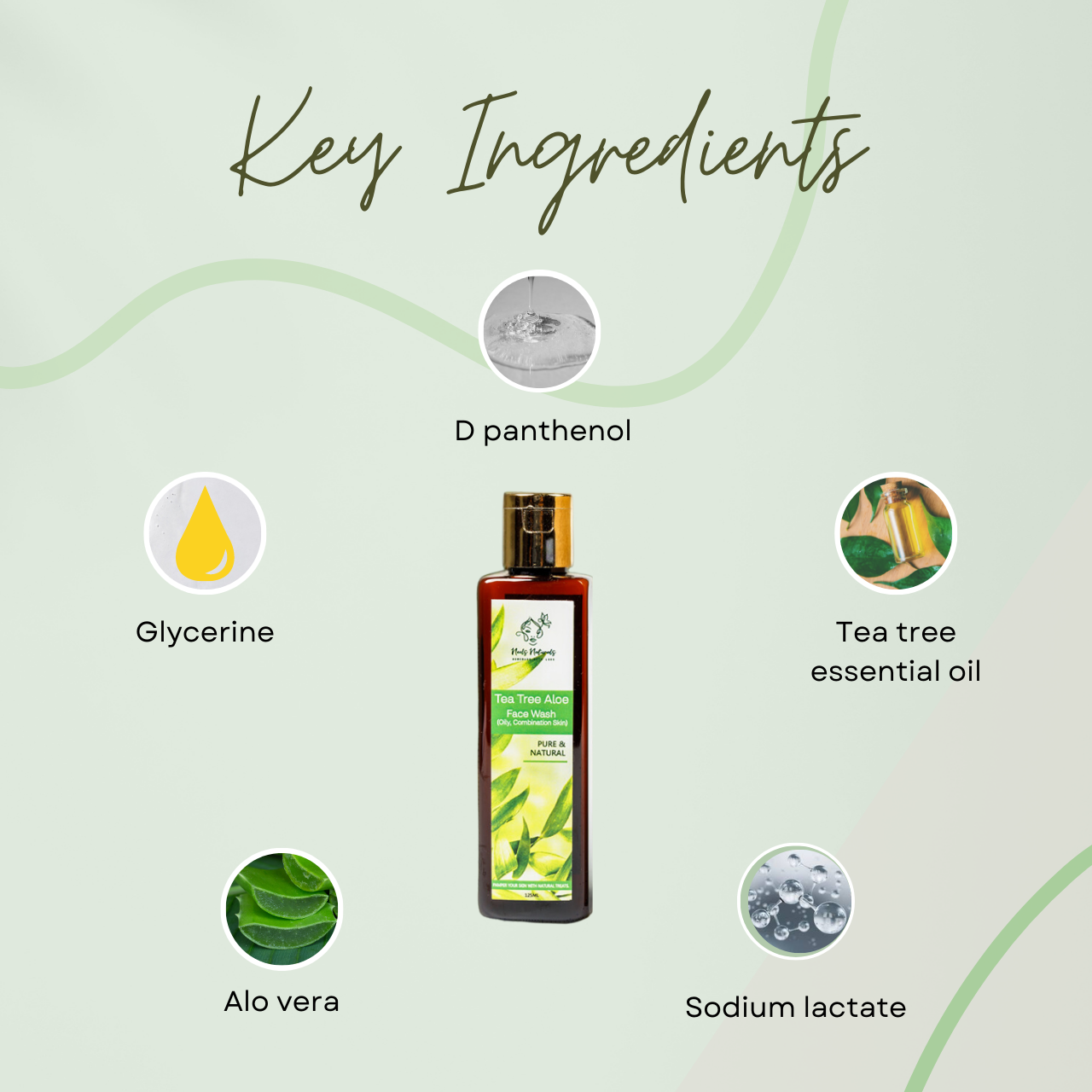 Tea Tree Aloe Face Wash